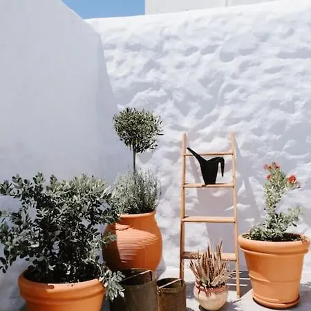 Apartament 1919's Asklipiion