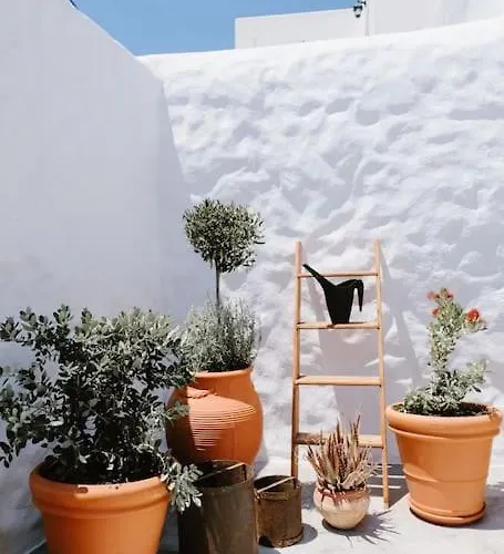 Apartament 1919's Asklipiion